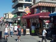 venice small